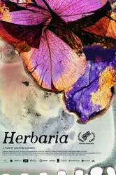 Herbaria постер