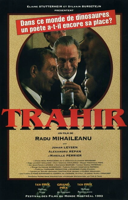 Постер Измена 1993
