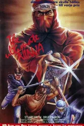 The Ultimate Ninja постер