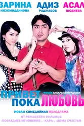 Привет любовь, пока любовь 2012 постер