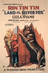 Land of the Silver Fox постер