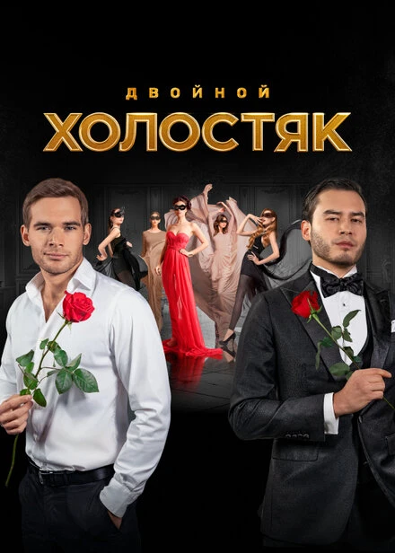 Постер Холостяк 2013