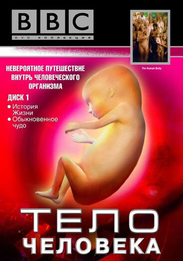 Постер BBC: Тело человека 1998