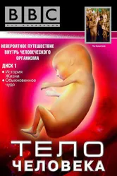 BBC: Тело человека 1998 постер