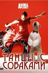 Discovery: Танцы с собаками 2008 постер