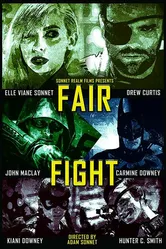 Fair Fight: DC Tribute постер