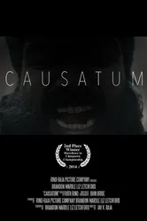 Causatum постер