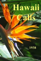 Hawaii Calls постер