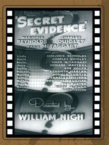 Постер Secret Evidence