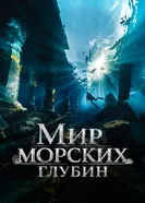 Мир морских глубин постер