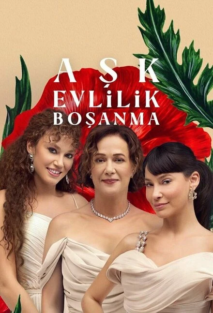 Постер Ask Evlilik Bosanma