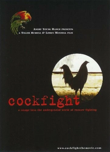 Постер Cockfight 2001
