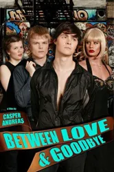 Между любовью и прощанием 2008 постер