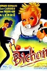Bichon постер