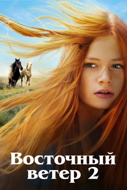 Постер Восточный ветер 2 2015