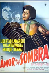 Amor en la sombra постер