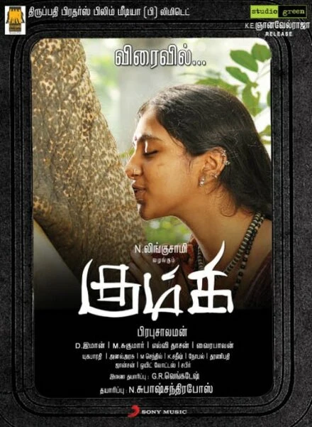 Постер Kumki