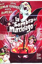La sombra del murciélago постер