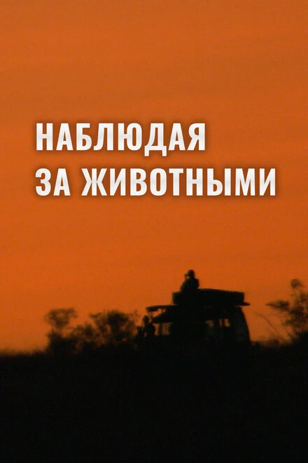 Постер Наблюдая за животными 2013