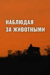 Наблюдая за животными 2013 постер