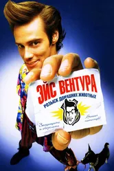 Эйс Вентура: Розыск домашних животных 1993 постер