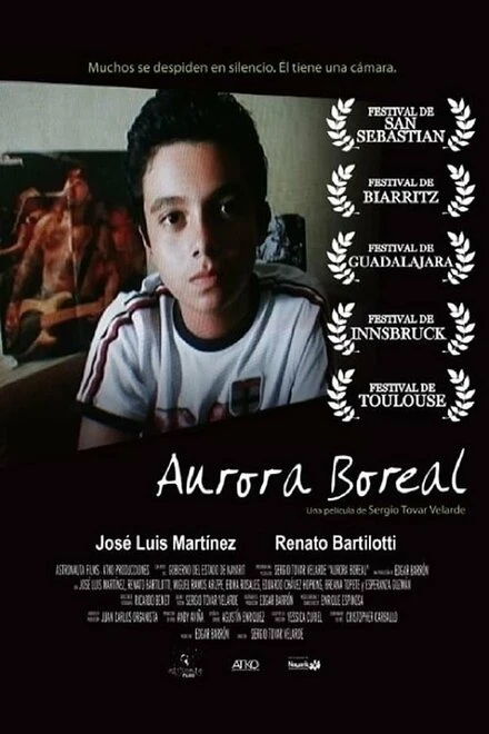Постер Aurora boreal
