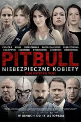 Питбуль. Опасные женщины 2016 постер