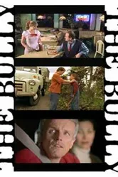 The Bully 2003 постер