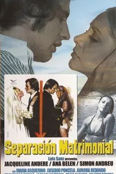 Развод 1973 постер