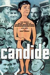 Кандид или оптимизм 1960 постер