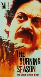 Постер Огненный сезон 1994