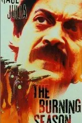 Огненный сезон 1994 постер