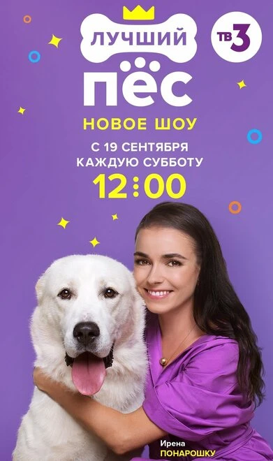 Постер Лучший пес 2020