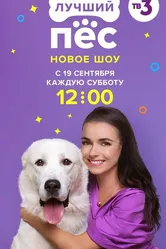 Лучший пес 2020 постер