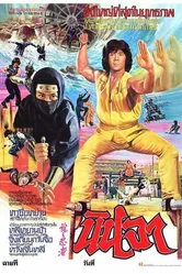 Ниндзя в логове дракона 1982 постер