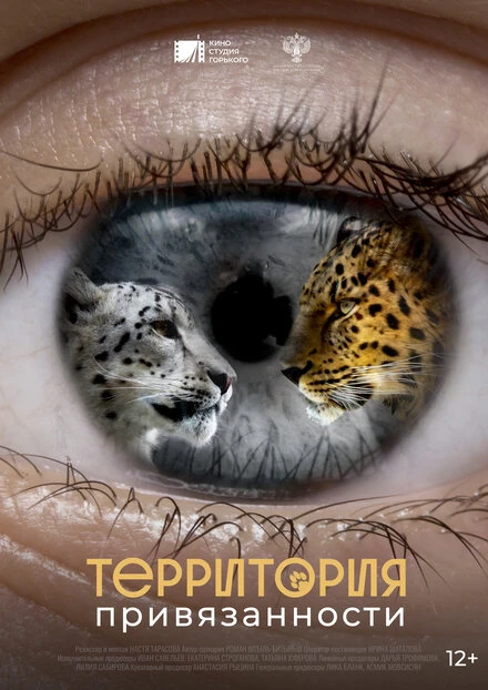 Постер Территория привязанности 2023