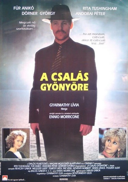 Постер Удовольствие от обмана 1991
