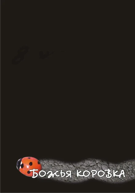Постер Божья коровка 2006