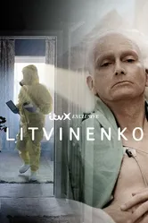 Литвиненко 2022 постер