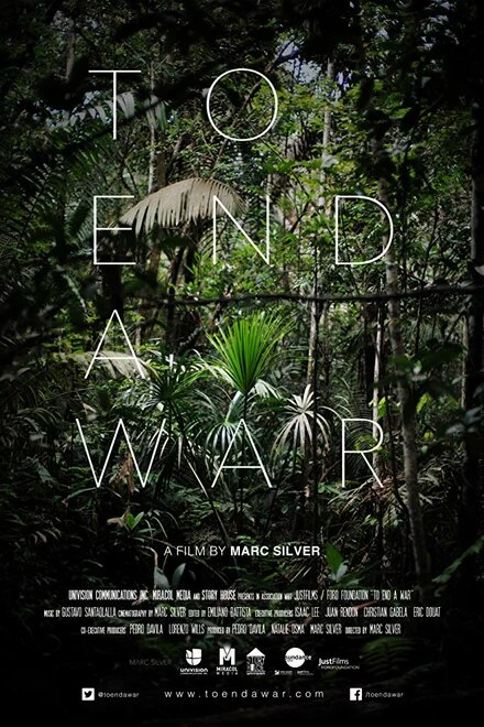 Постер To End a War