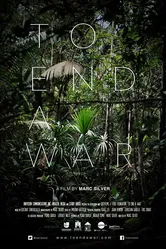 To End a War постер