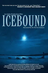 Icebound 2012 постер