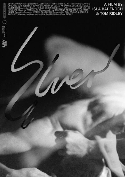 Постер Elver