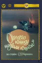 Отчего кошку назвали кошкой 1982 постер