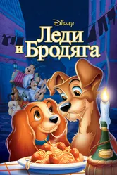 Леди и бродяга 1955 постер
