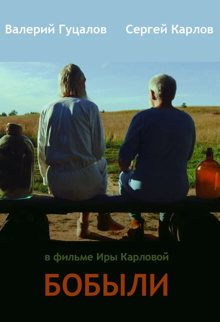 Постер Бобыли 2016