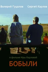 Бобыли 2016 постер