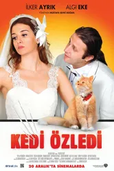 Кошки были пропущены 2013 постер