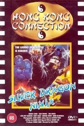 Silver Dragon Ninja постер