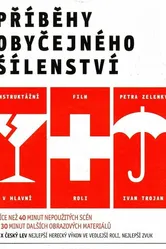 Príbehy obycejného sílenství постер